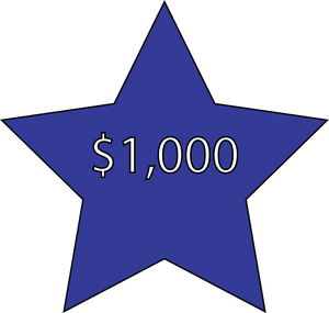 $1,000 Donation